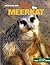 Mia the Meerkat (True To Li...