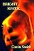 Bright Spark by Gavin Smith