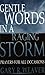 Gentle Words in a Raging Storm by Gary R. Weaver