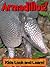 Armadillos! Learn About Armadillos and Enjoy colorful Pictures