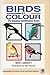 Birds by Colour: The Simplest Identification Guide to Bird Recognition