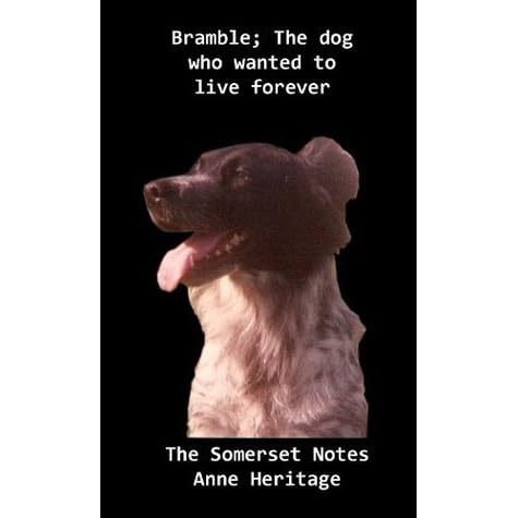 bramble vegan dog