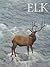 Elk