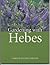 Gardening Hebes