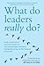 What Do Leaders Really Do?: Getting Under the Skin of What Makes A Great Leader Tick
