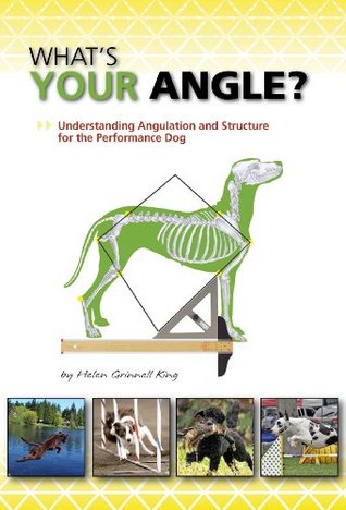 What's Your Angle (Kindle Edition)