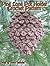Pine Cone Crochet Pattern
