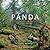 Panda: Back from the Brink