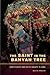 The Saint in the Banyan Tree by David Mosse
