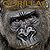 Gorillas: The Complete Guide For Beginners & Early Learning (Robert Stanek's Wonderful Discoveries)
