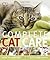 Complete Cat Care: How to K...
