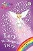 Lucy the Diamond Fairy by Daisy Meadows
