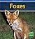 Foxes