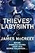 The Thieves' Labyrinth (Albert Newsome, #3)