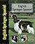 English Springer Spaniel