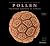 Pollen The Hidden Sexuality of Flowers (compact edition) /anglais