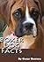 Boxer Dog Facts. Information About Boxers - Short facts