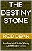 The Destiny Stone (Young Ad...