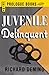 Juvenile Delinquent (Prologue Crime)