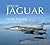 Sepecat Jaguar Endangered S...