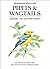 Pipits and Wagtails of Europe, Asia and North America (Helm Identification Guides)
