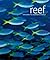 Reef: Exploring the Underwater World