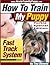 How To Train My Yorkie Fast Track System