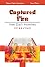 Captured Fire: New Daily Homilies, Year One