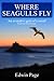 Where Seagulls Fly (2013 Edition)