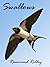 Swallows by Rosamund Ridley