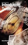 Introducing Treasury (Introducing Financials Book 5)