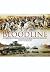 Bloodline: The Origins & De...