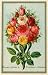 Flowers from a Puritan's Garden, Annotated and Illustrated.