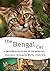 The Bengal Cat: A vet's guide on how to care for your Bengal cat