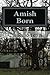 Amish Born (The Amish Timetraveler Book 1)