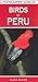 A Photographic Guide to Birds of Peru