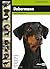 Doberman (Dog Breed Expert Series)