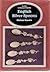 English Silver Spoons (Lett's Collectors Guides)