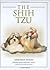 Shih Tzu Terra Nova