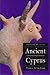 Ancient Cyprus /anglais