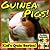 Guinea Pigs! Children's Qui...