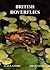 British Hoverflies: an Illustrated Identification Guide