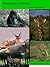 Mammals of Africa