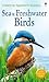 Sea and Freshwater Birds (Spotter's Guide)