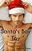 Santa's Boy Toy