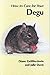 How to Care for Your Degu (Your First...series)