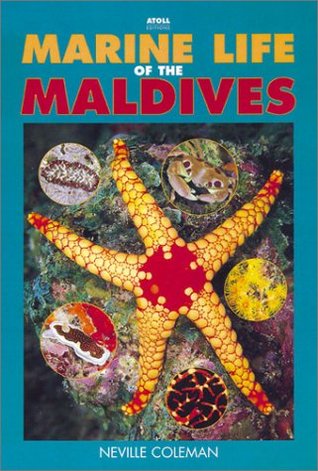 Marine Life of the Maldives (Hardcover)