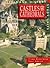 Castles and Cathedrals: Pupil Book (Heinemann History Study Units)