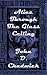 Alice Through The Looking Glass by John D. Chadwick