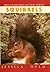 Squirrels Hardcover Jessica Holm